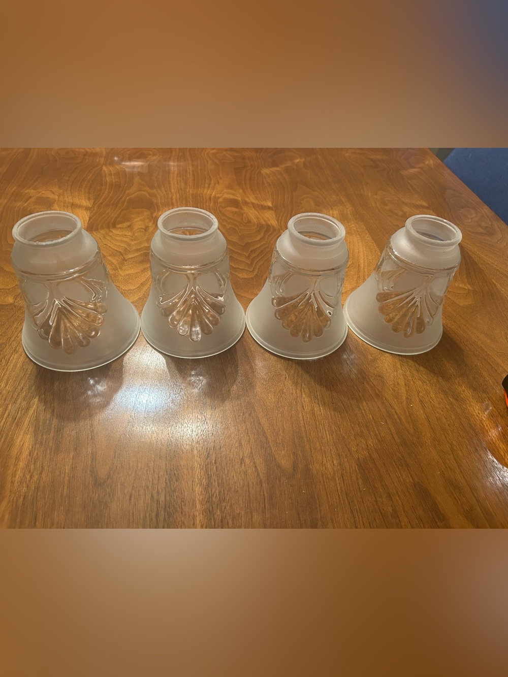 Set of 4 replacement ceiling fan Frosted Glass Shell Shade -